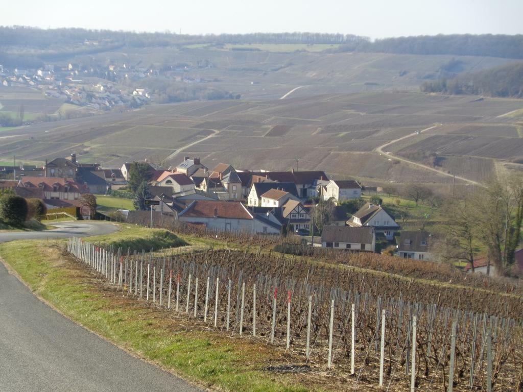 Roulotte La Dominique Romery (Marne) Exterior foto